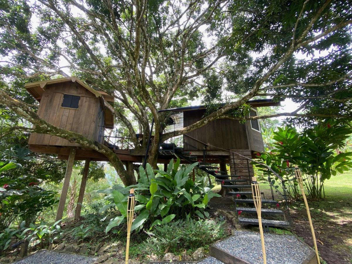Finca Vela Lodge Bocas del Toro Exterior foto